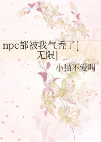 npc都被我气秃了[无限]