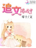 追文游戏中